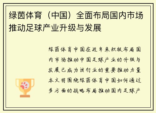绿茵体育（中国）全面布局国内市场推动足球产业升级与发展
